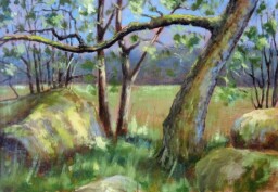 Okraj lesa ll.  25 x 40